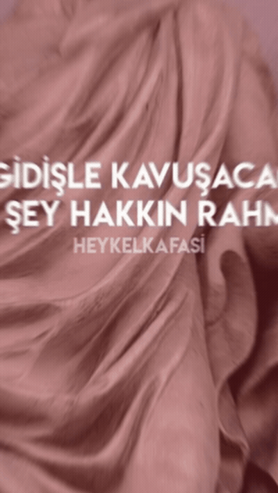 Pink Cloth Saying Heykelkafasi GIF