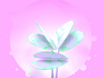 Pink Coquette Venus Fly Trap GIF