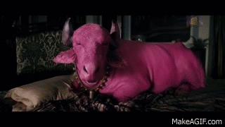 Pink Cow Lying On Bed GIF