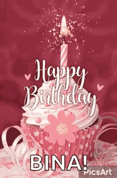 Pink Cupcake With Candle Saying Happy Birthday Bina GIF