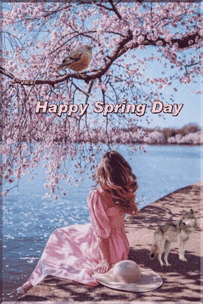 Pink Dress Girl Under Cherry Blossom Tree Happy Spring Day GIF