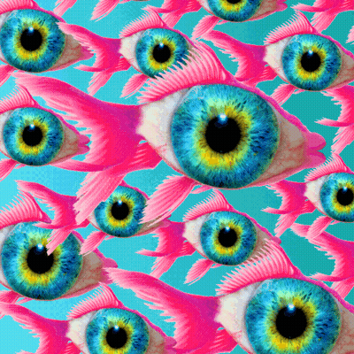 Pink Fish With Blue Eyes GIF