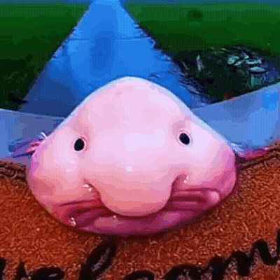 Pez rosa con nariz grande en felpudo GIF