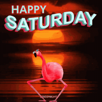 Pink Flamingo Dancing In Sunglasses Happy Saturday GIF