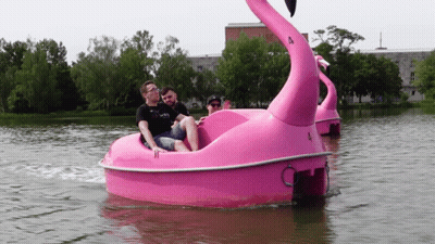 Pink Flamingo Paddle Boat With Number 4 GIF
