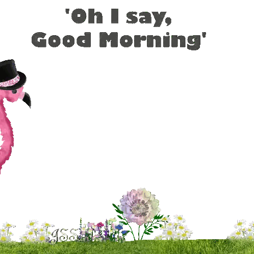 Pink Flamingo Saying Good Morning Sticker