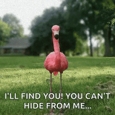 Pink Flamingo Saying I'll Find You You Can't Hide From Me GIF