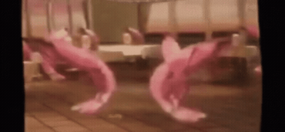 Pink Flamingos Dancing In A Room GIF