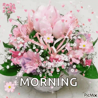 Pink Flower Bouquet Morning GIF