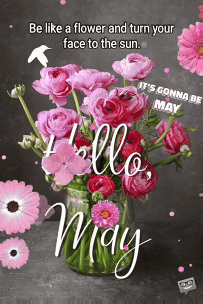 Pink Flower Bouquet With Sun Quote GIF