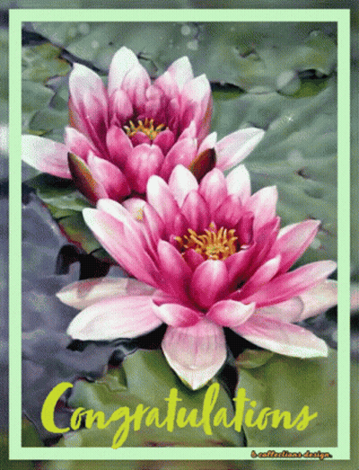 Pink Flower Floating In Water GIF