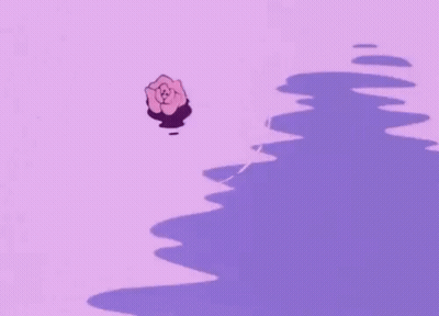 Pink Flower Floating In Water GIF