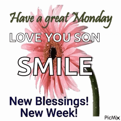 Pink Flower Have Great Monday Love You Son GIF
