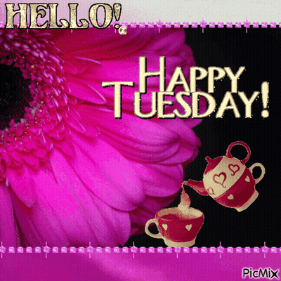 Pink Flower Saying Hello Happy Tuesday