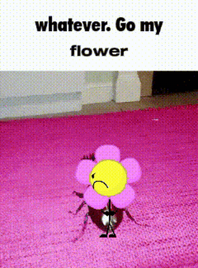 Pink Flower With Sad Face On Pink Rug GIF
