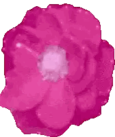 Pink Flower With White Petals Sticker
