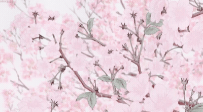 Pink Flowers GIF
