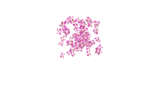 Pink Flowers Falling From Sky Sticker