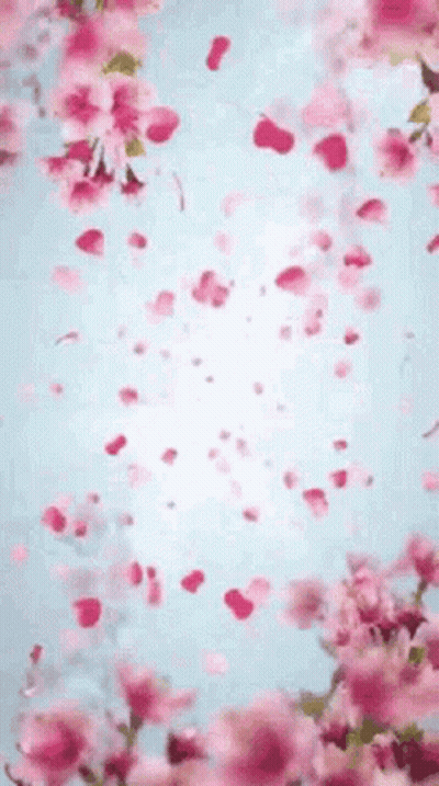 Pink Flowers Falling From Tree GIF