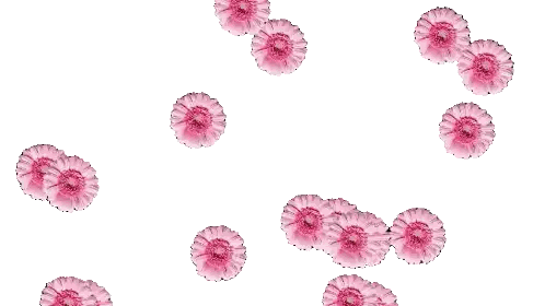 Pink Flowers Floating Sticker
