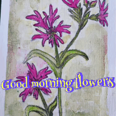 Pink Flowers Good Morning GIF