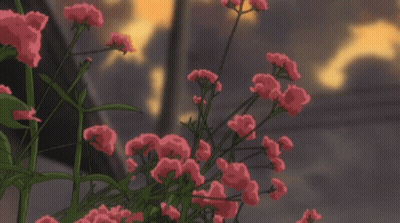 College Graduation GIFs