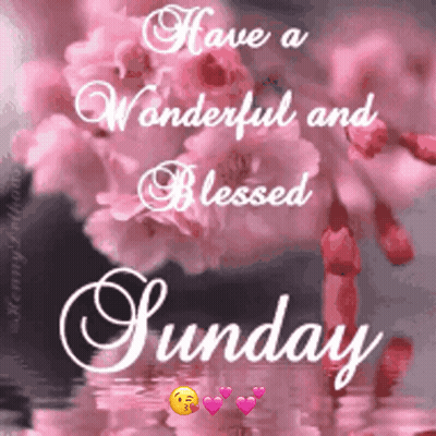 Pink Flowers Have A Wonderful And Blessed Sunday GIF