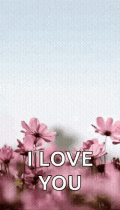 Pink Flowers I Love You GIF