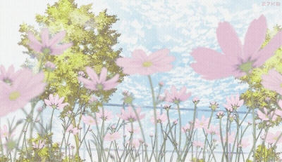 Pink Flowers In Field GIF