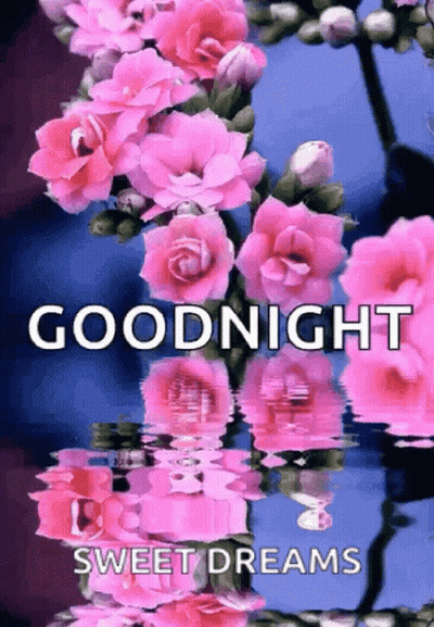Pink Flowers Reflecting In Water GIF