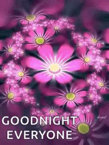 Pink Flowers Saying Goodnight Everyone GIF