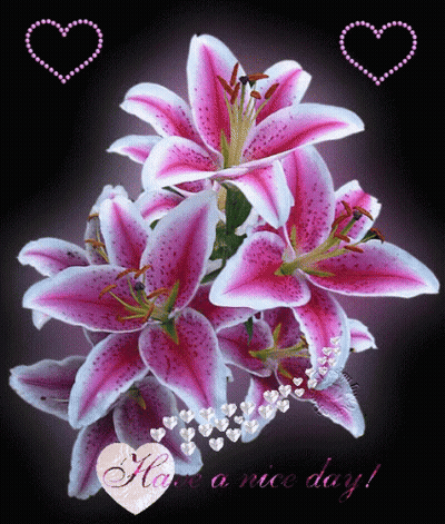 Pink Flowers Saying Have A Nice Day GIF