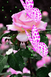 Pink Flowers With Flying Butterflies