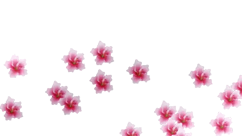 Pink Flowers With Green Center Sticker