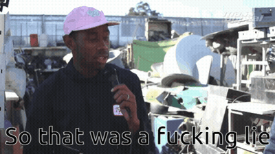 Pink Hat Man With Microphone Says So That Was A Fucking Lie GIF