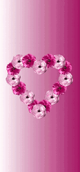 Pink Heart Flowers Meditation