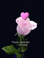 Pink Heart Rose Greeting