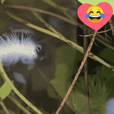Pink Heart With Laughing Face On Stick GIF