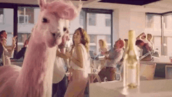 Pink Llama Partying GIF