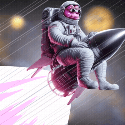 Pink Monkey Sitting on Rocket