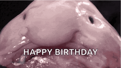 Pink Object Saying Happy Birthday GIF