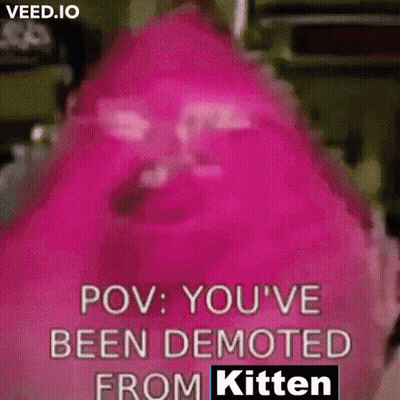 Pink Object Saying POV You've Been Demoted From Kitten GIF