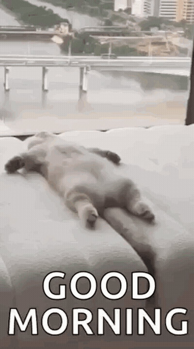Pink Panther Stay Warm And Cozy GIF