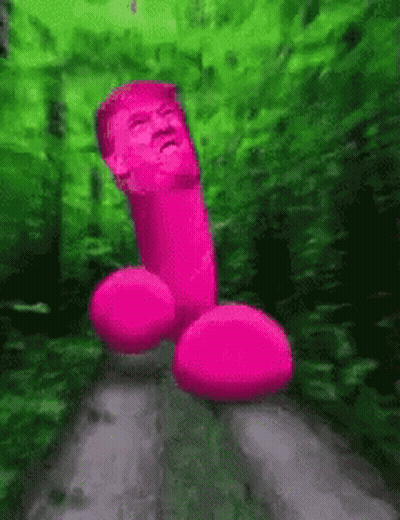Pink Penis With Donald Trump Face GIF