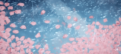 Pink Petals Falling Into Water GIF
