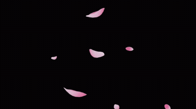 Pink Petals Falling GIF