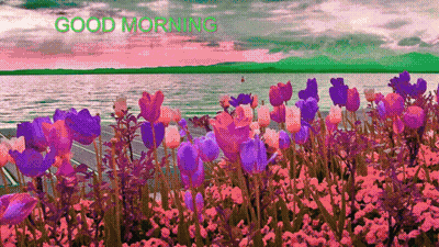 Pink Purple Flowers Over Water Good Morning