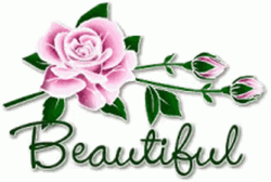 Pink Rose Beautiful Gorgeous Text Animation GIF