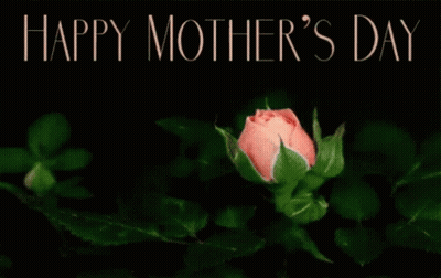 Pink Rose Happy Mothers Day GIF