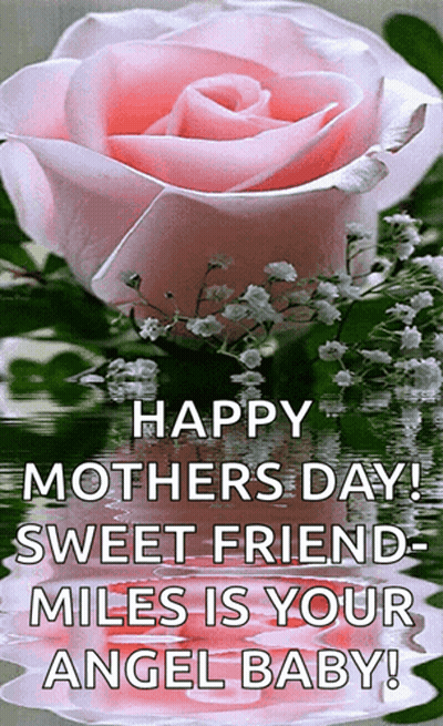 Pink Rose Happy Mothers Day GIF